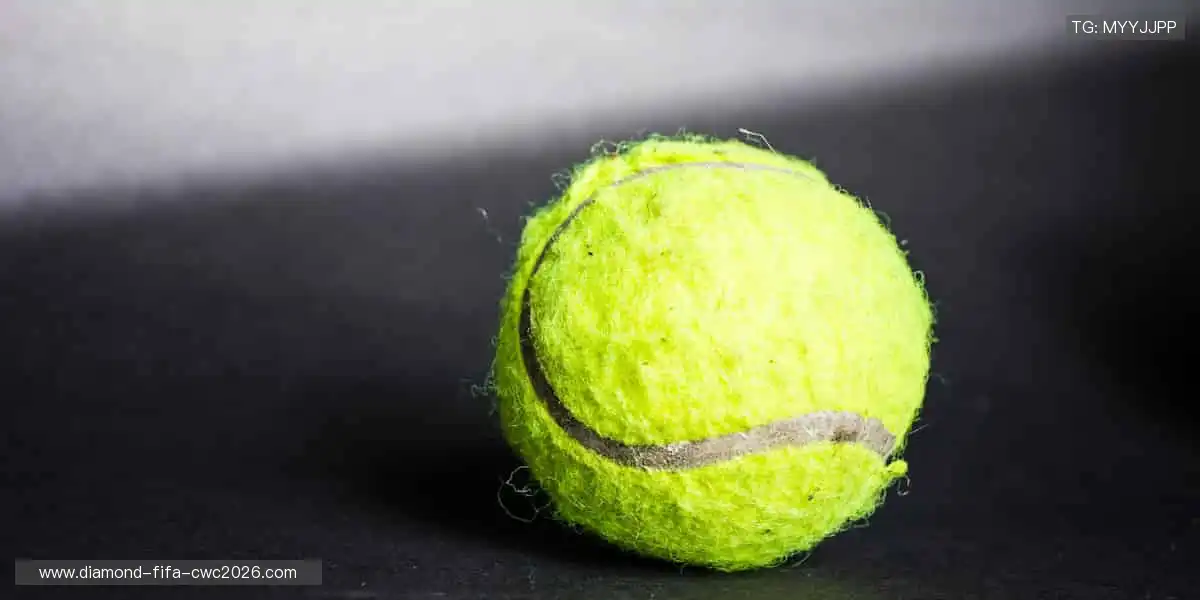 💻指尖滑动,实时掌控赛场风云!📡